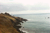 wpe13101.gif (105147 bytes)